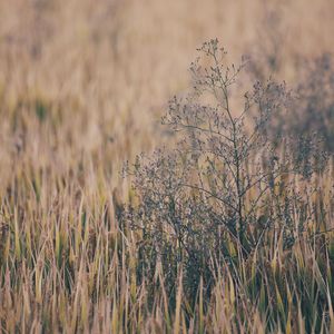 俄妹打台球免费观看完整版高清
